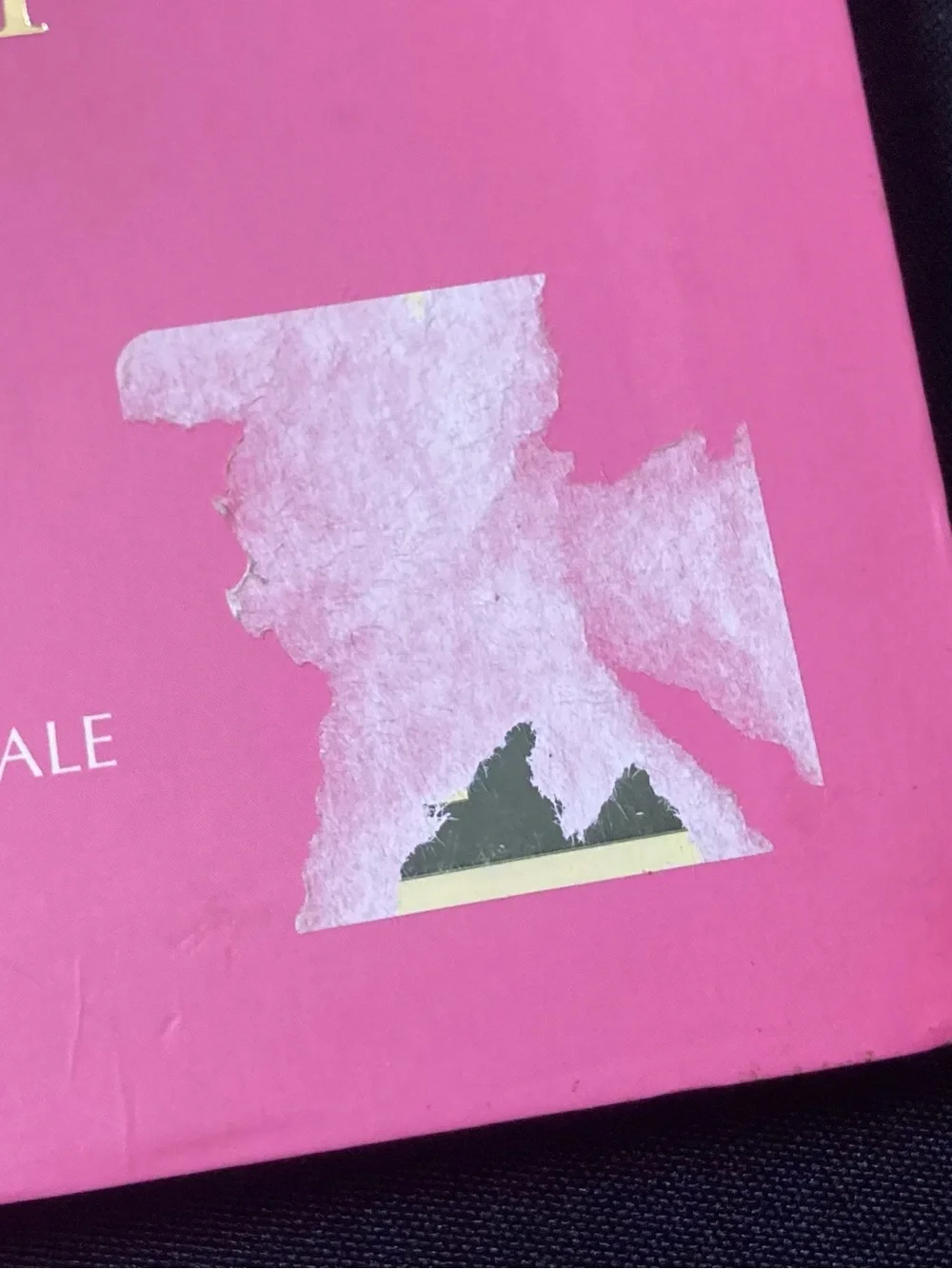 ⭐️ Beauty by Helena Sunnydale Pink Rubber Cover
